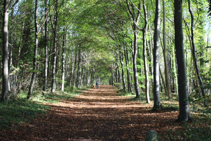 Featured Image -- 3040