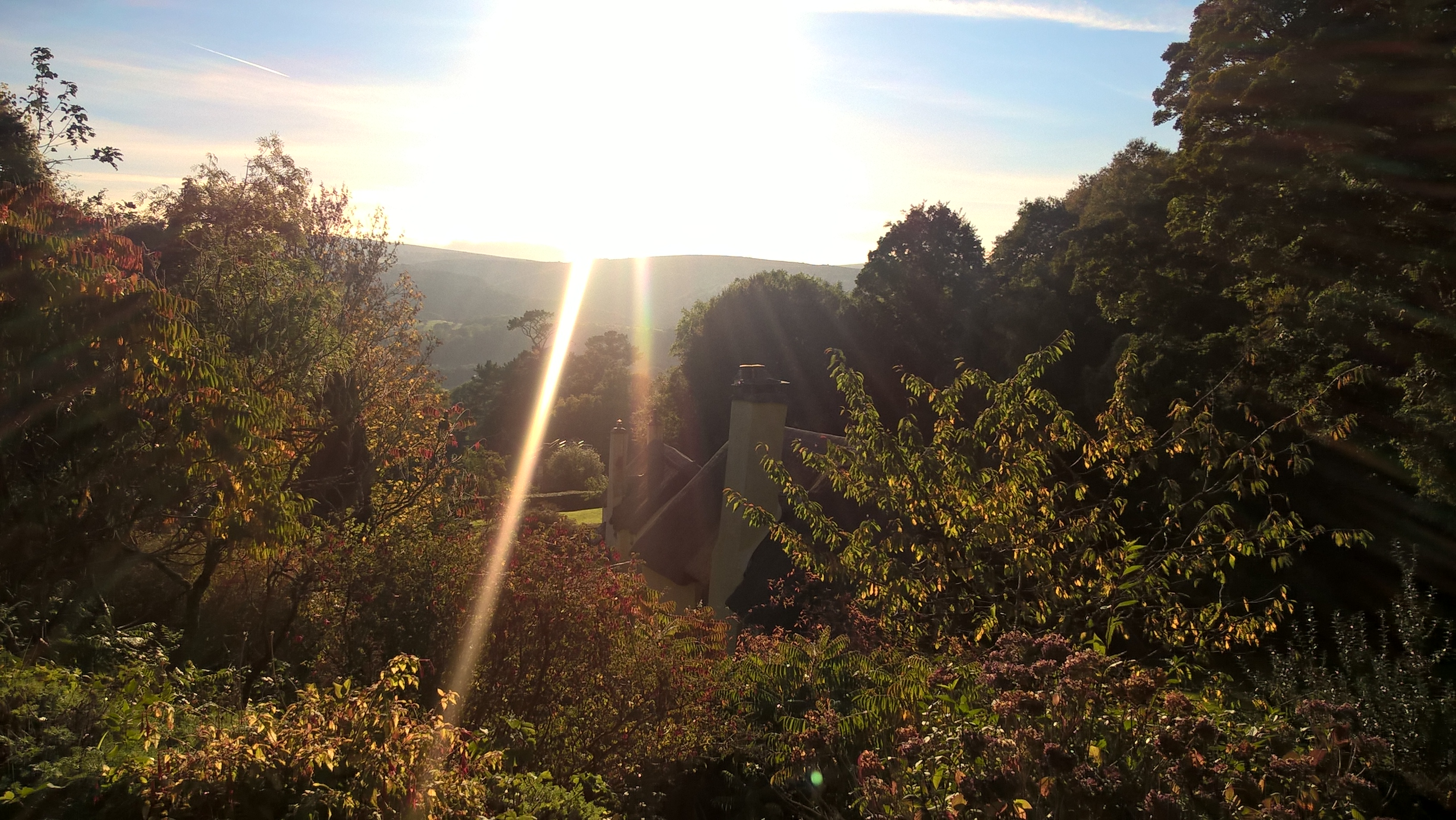 wp_20161021_16_28_38_pro