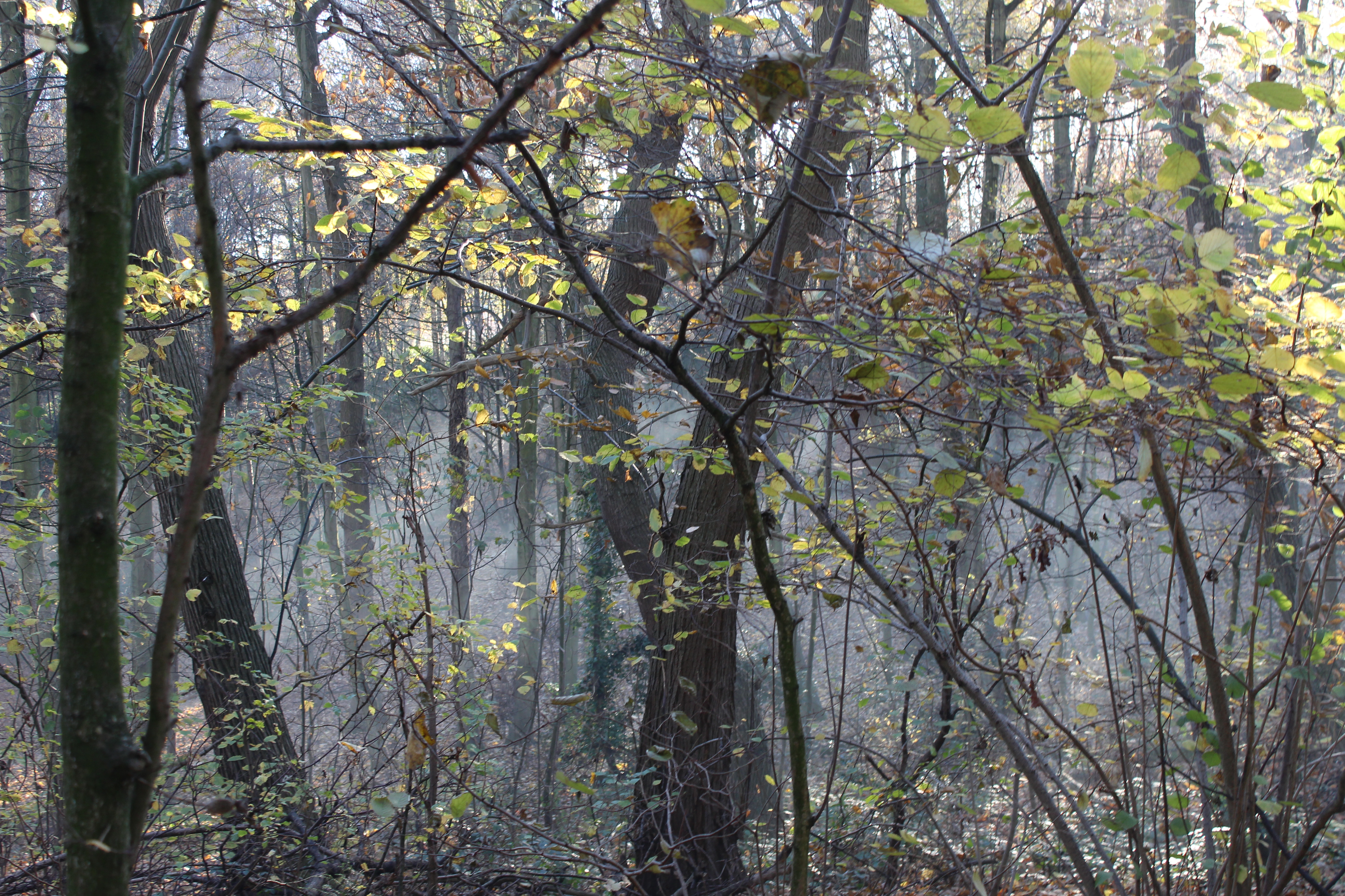 Featured Image -- 3301