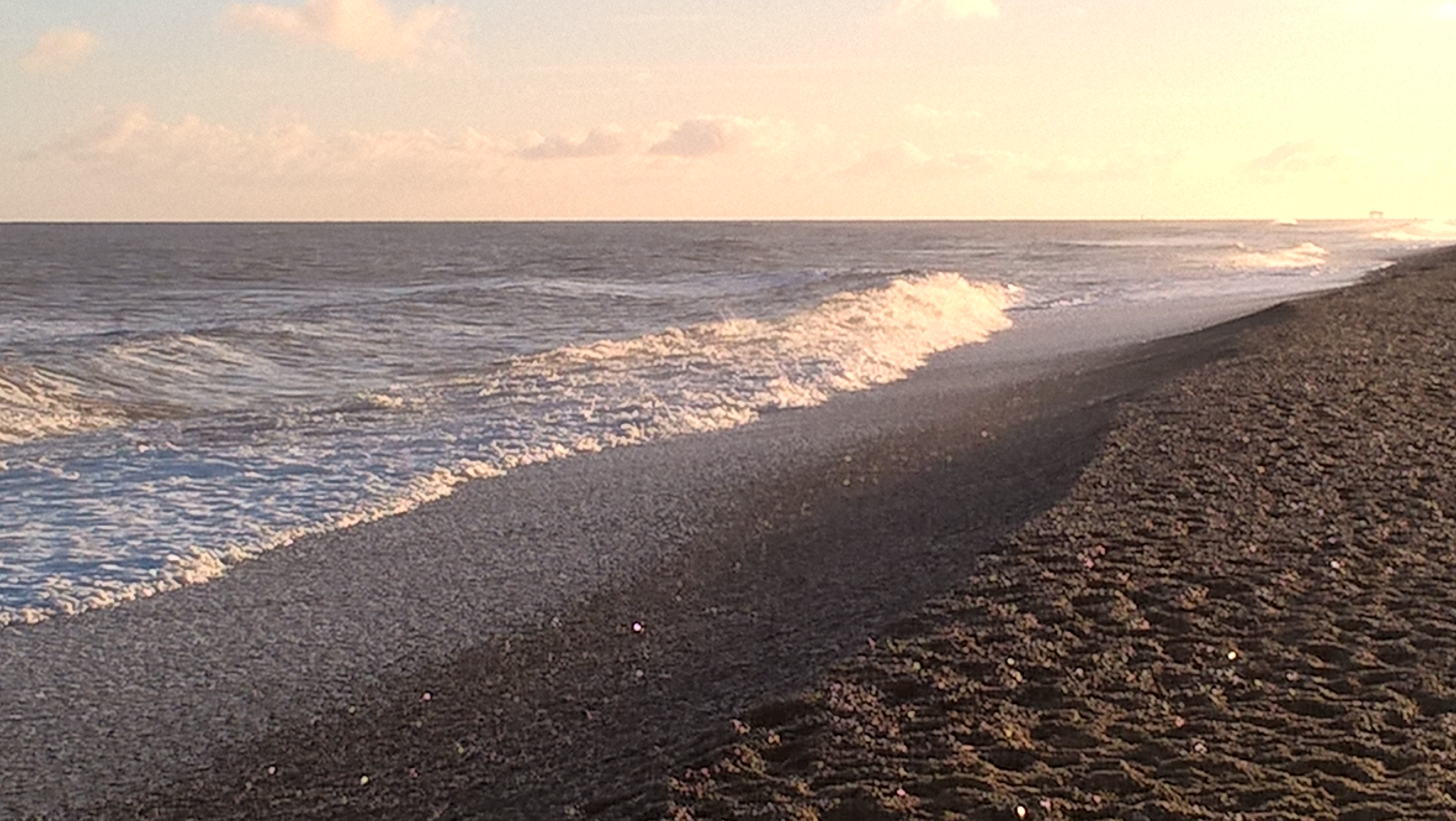 wp_20170102_14_12_07_pro