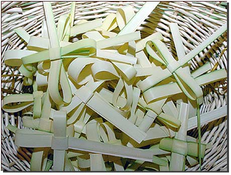 palm_crosses