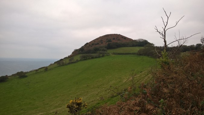 WP_20171015_11_32_06_Pro