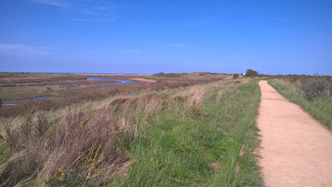 WP_20180503_15_07_04_Pro