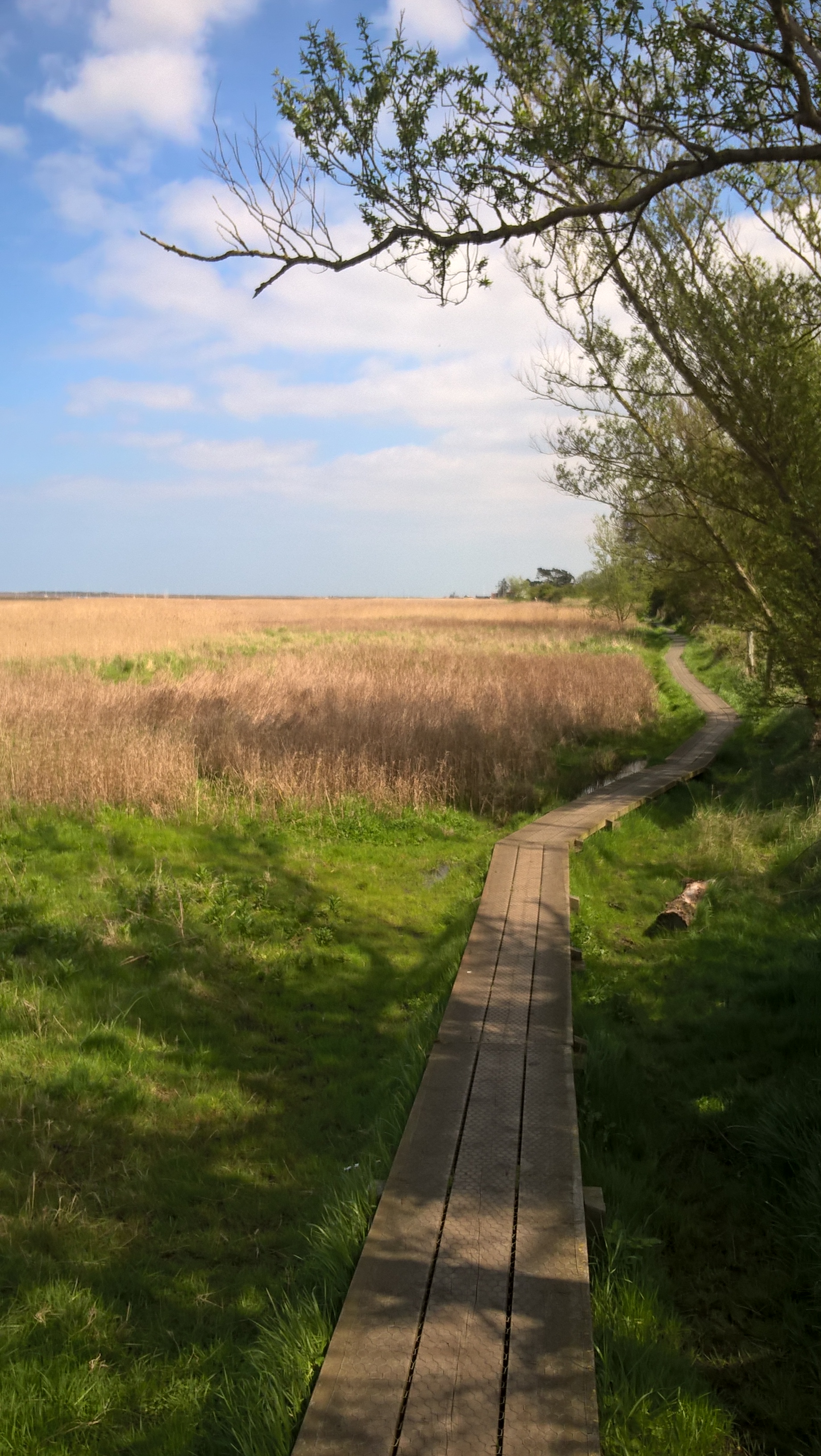 WP_20180504_13_18_15_Pro