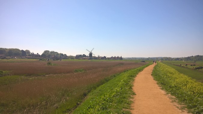 WP_20180507_11_17_46_Pro