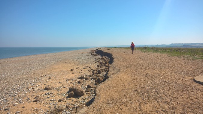 WP_20180507_12_31_38_Pro