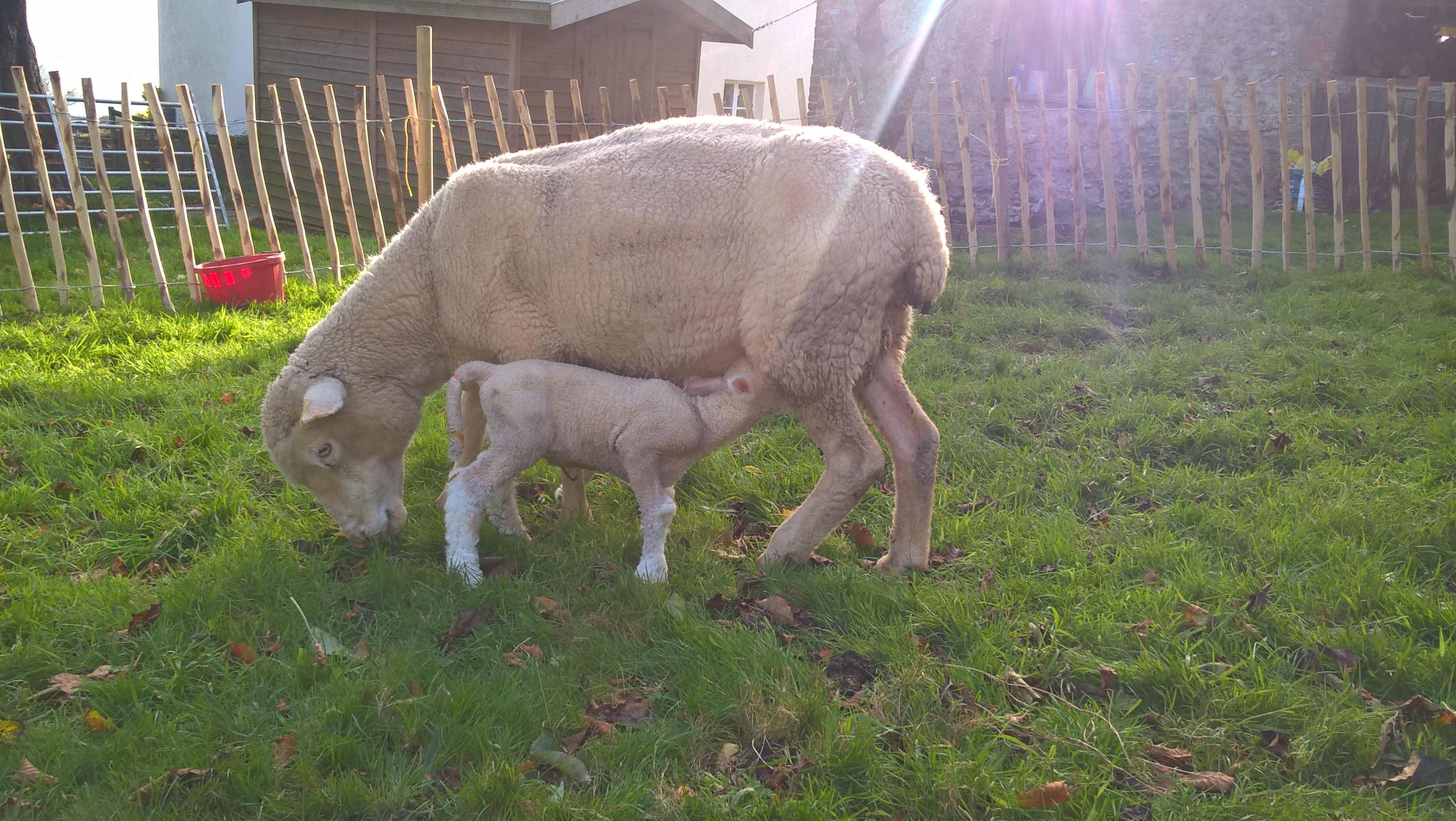 WP_20171016_16_18_46_Pro