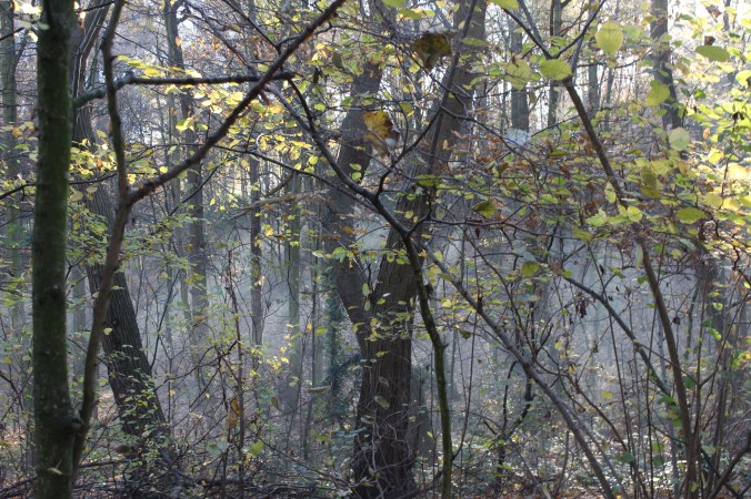 Featured Image -- 3301