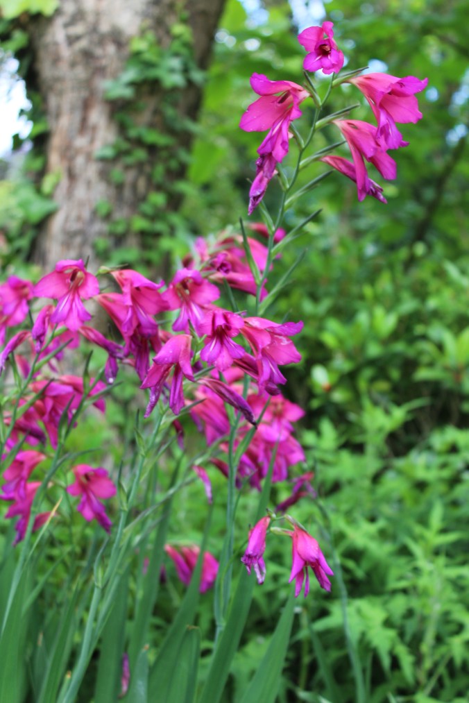 Featured Image -- 6203