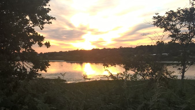 WP_20200614_20_48_04_Pro