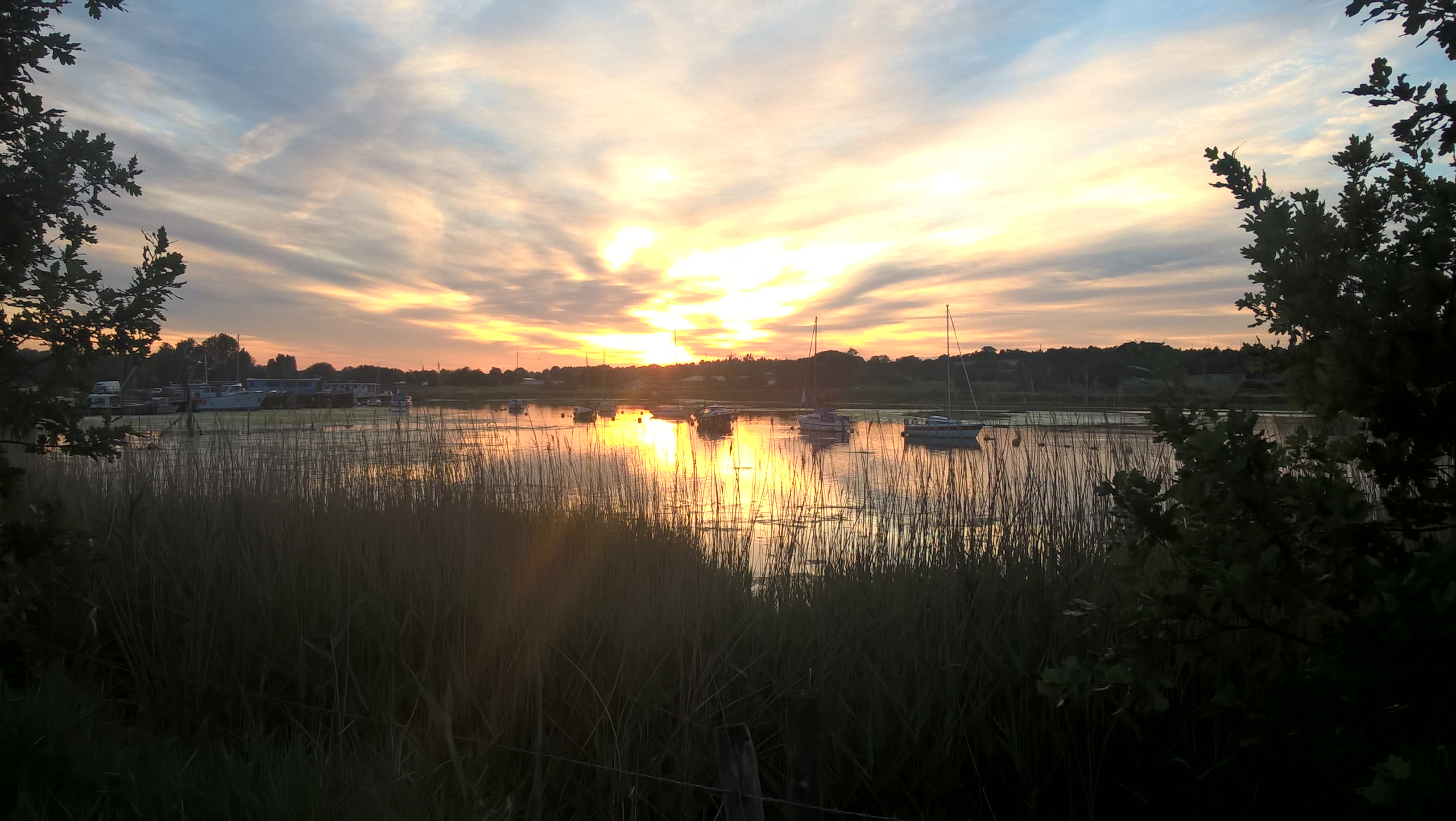 WP_20200614_20_52_13_Pro