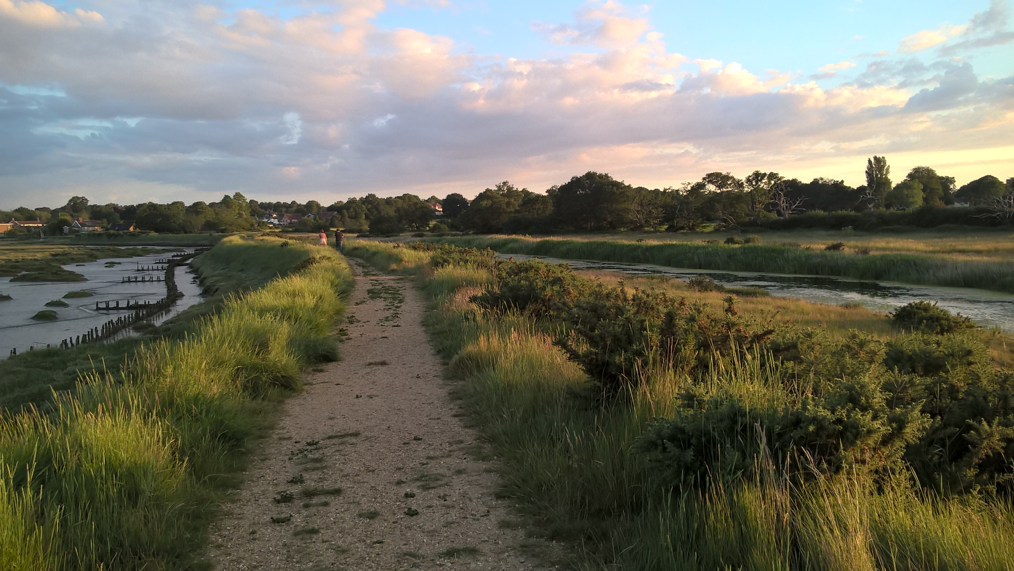 WP_20200621_20_34_58_Pro