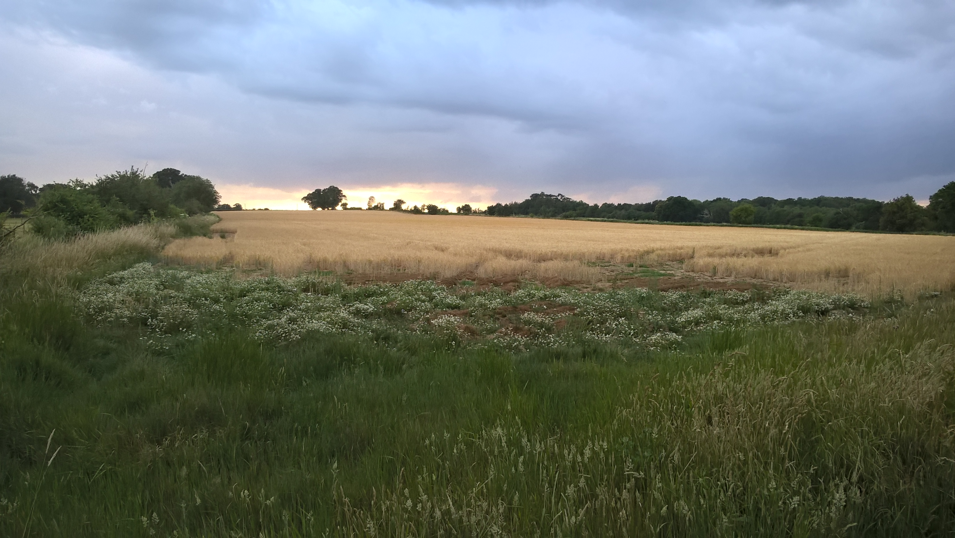 WP_20200628_20_04_59_Pro