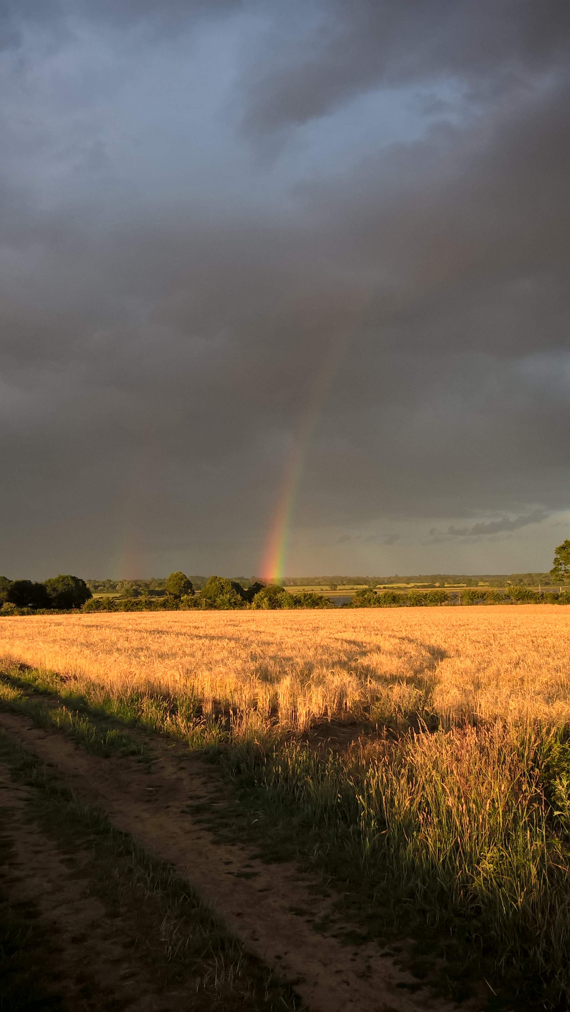 WP_20200628_20_38_59_Pro